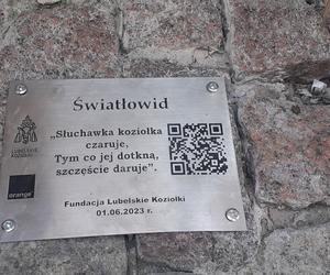 To Światłowid, nowy koziołek [GALERIA]