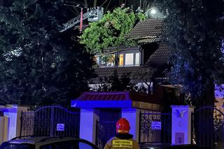 Gigantyczne drzewo runęło do dom jednorodzinny. Dramatyczna akcja ratunkowa w Warszawie