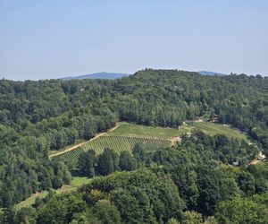 Wyjątkowa atrakcja turystyczna w Małopolsce. To stare zamczysko nad Dunajcem