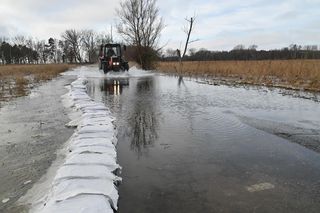 Wyspa Chrząszczewska