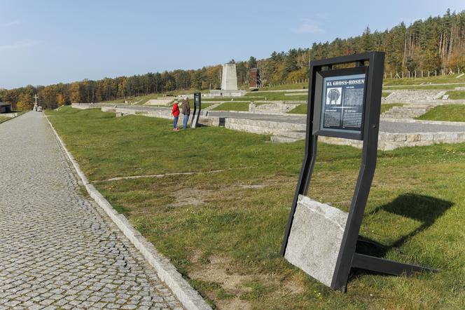 Wrzucili 92 mężczyzn do dołu i żywcem zakopali