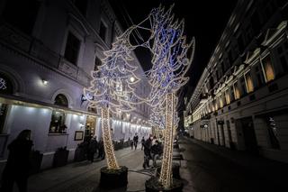 Iluminacje świąteczne na Piotrkowskiej