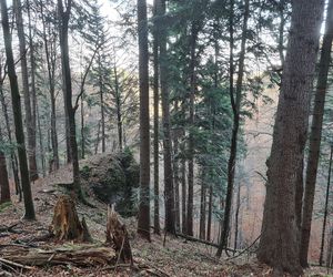 AI wybrała najlepsze miejsce na jesienny weekend w Małopolsce. Dla podróżników jest kultowe!