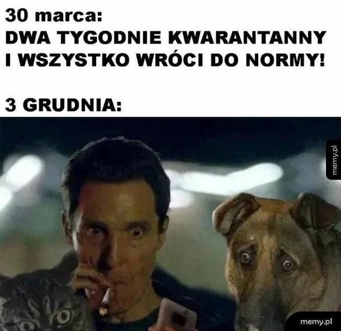 Memy o 2020 roku. Zapamiętamy go na długo! Dobrze, że już się kończy [ZDJĘCIA]