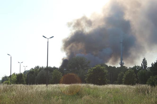 Pożar lokomotywowni w Grudziądzu. Słup dymu widać z daleka [ZDJĘCIA]