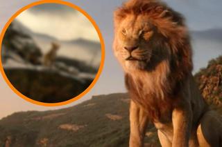 Mufasa powraca! Jest pierwsza zapowiedź prequela “Króla lwa”. Premiera jeszcze w tym roku