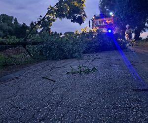 Burze nawiedziły województwo kujawsko-pomorskie. Zdjęcia z akcji strażaków