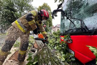 Drzewo przewróciło się na miejski autobus. Są osoby poszkodowane