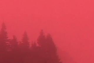 Tajemnicza różowa mgła w czeskich górach. Co to za niezwykłe zjawisko? 