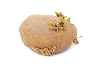 ZIEMNIAKI - wartość odżywcza, sposoby przyrządzania
