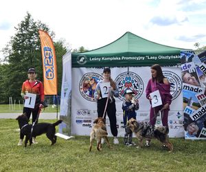 Festiwal Przyjaciół Zwierząt w Olsztynie. Park Centralny opanowały radosne pieski