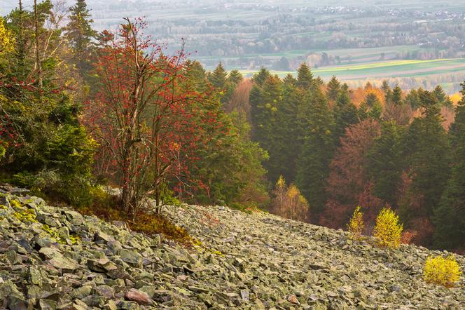 Geopark Świętokrzyski (woj. świętokrzyskie)