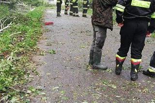 Nawałnica w gminie Lisia Góra łamała drzewa jak zapałki. Potężne zniszczenia 