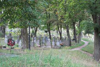 Dwa gorzowskie cmentarze znajdą się w internetowej wyszukiwarce [AUDIO]