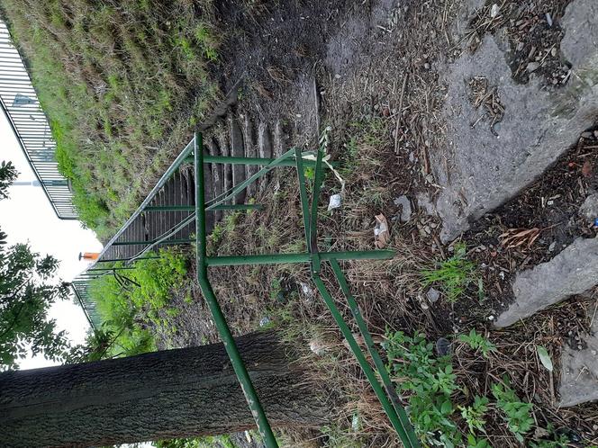 Więźniowie pomagali sprzątać Przemyśl. Zebrano 5 ton śmieci! [ZDJĘCIA]