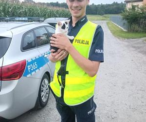 Maleństwo błąkało się po Wiślance. Przed śmiercią uratował go policjant