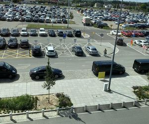 Tak wygladają ogrody deszczowe na parkingu przed terminalami Katowice Airport