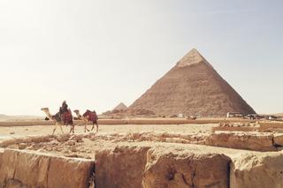 Sphinx wkroczy do Egiptu!