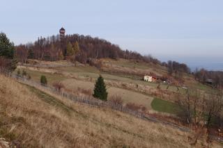 Wieże widokowe w Małopolsce. To z nich zobaczysz najpiękniejsze krajobrazy!