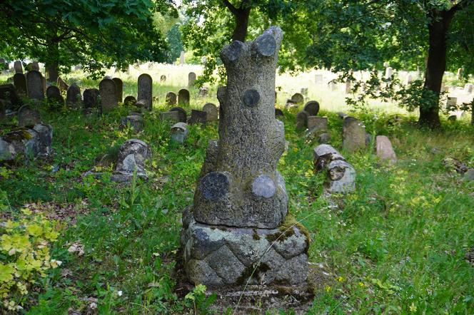 Zabytkowy cmentarz żydowski z XIX wieku w Białymstoku. Ostatnia taka ocalała nekropolia w mieście