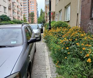 Ulica Andrzejowska w Warszawie