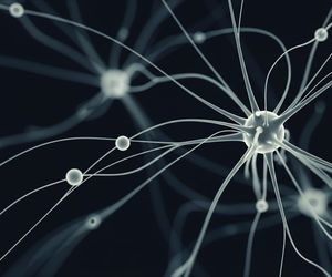 Sekret inteligencji odkryty. Jak jedno zdanie ujawnia geniusza?