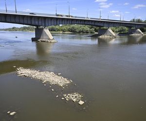 Alarm! Wisła wysycha na naszych oczach. Katastrofalny poziom wody w Warszawie