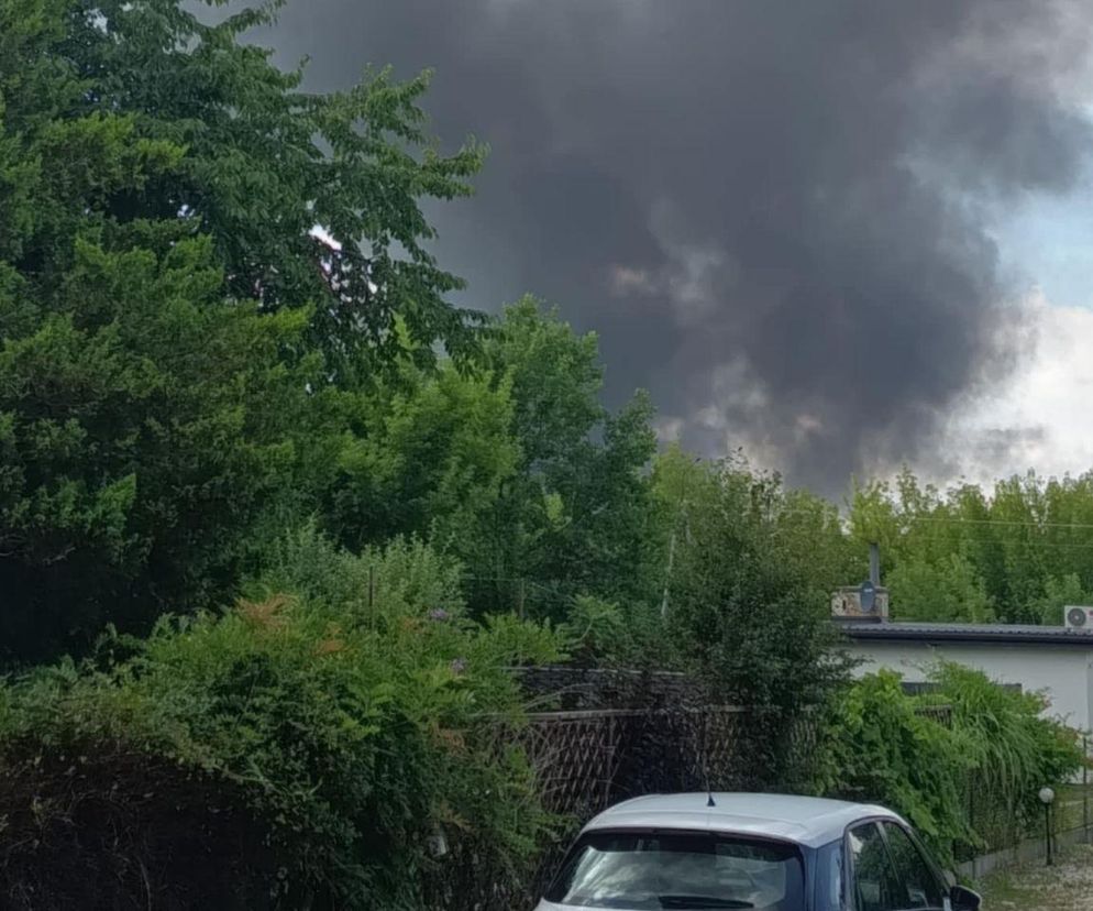 Pożar hali z chemikaliami w Sochaczewie. Z ogniem walczy kilkudziesięciu strażaków