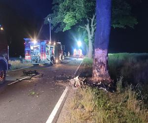 Tragiczny wypadek między Gnieżdżewem i Łebczem