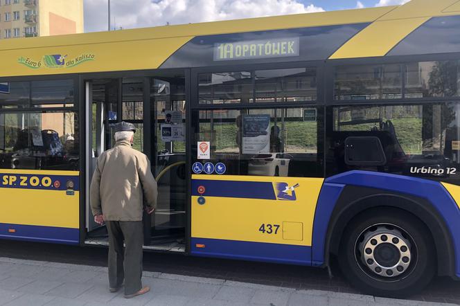 Remont ulic Puckiej i Toruńskiej: zmiany w kursowaniu autobusów