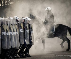 Policyjne konie zdały egzamin!