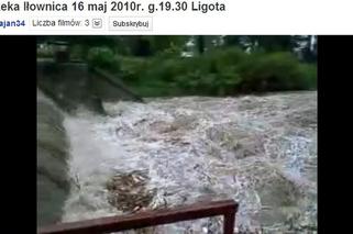 Ligota, rzeka Wapienica