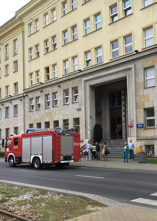 Katarzyna Dacyszyn. Cudem przeżyła atak szaleńca, teraz pomaga innym