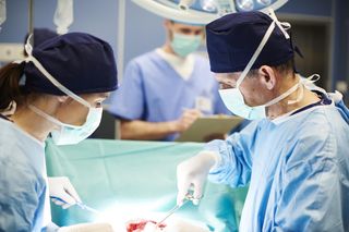 Rewolucja w ratowaniu życia? Płuco od świni nadzieją dla tysięcy pacjentów