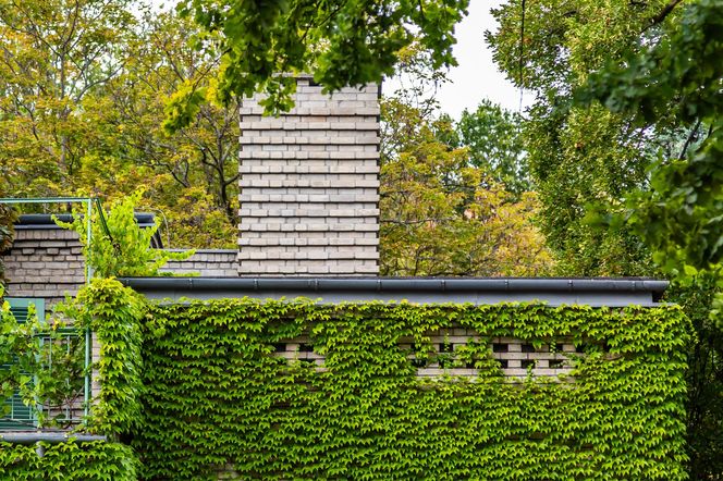 Willa Romualda Gutta na Kolonii Profesorskiej w Warszawie