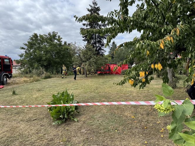 Wypadek awionetki w Krzycku Wielkim