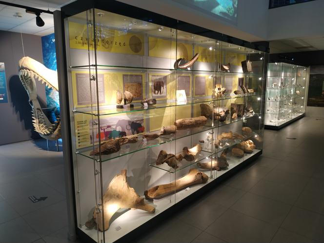 UJ otwiera Centrum Edukacji Przyrodniczej. Tysiące eksponatów na wystawach