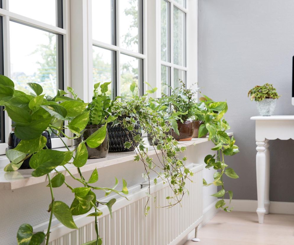 Wylewasz wodę po gotowaniu warzyw? To błąd!