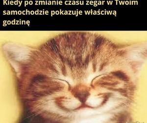 Już za chwilę zmieniamy czas! Internet o tym przypomina!