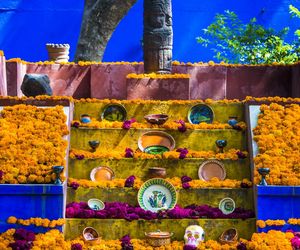 La Casa Azul - dom Fridy Kahlo 