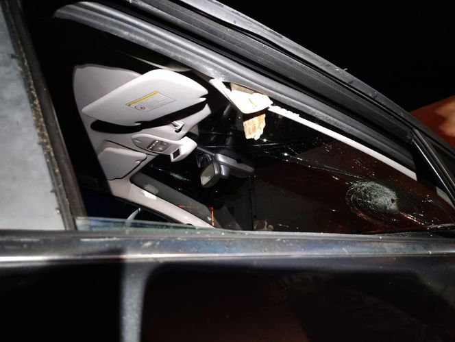 Drzewo runęło na jadący samochód! O krok od tragedii na DK 10 pod Bydgoszczą