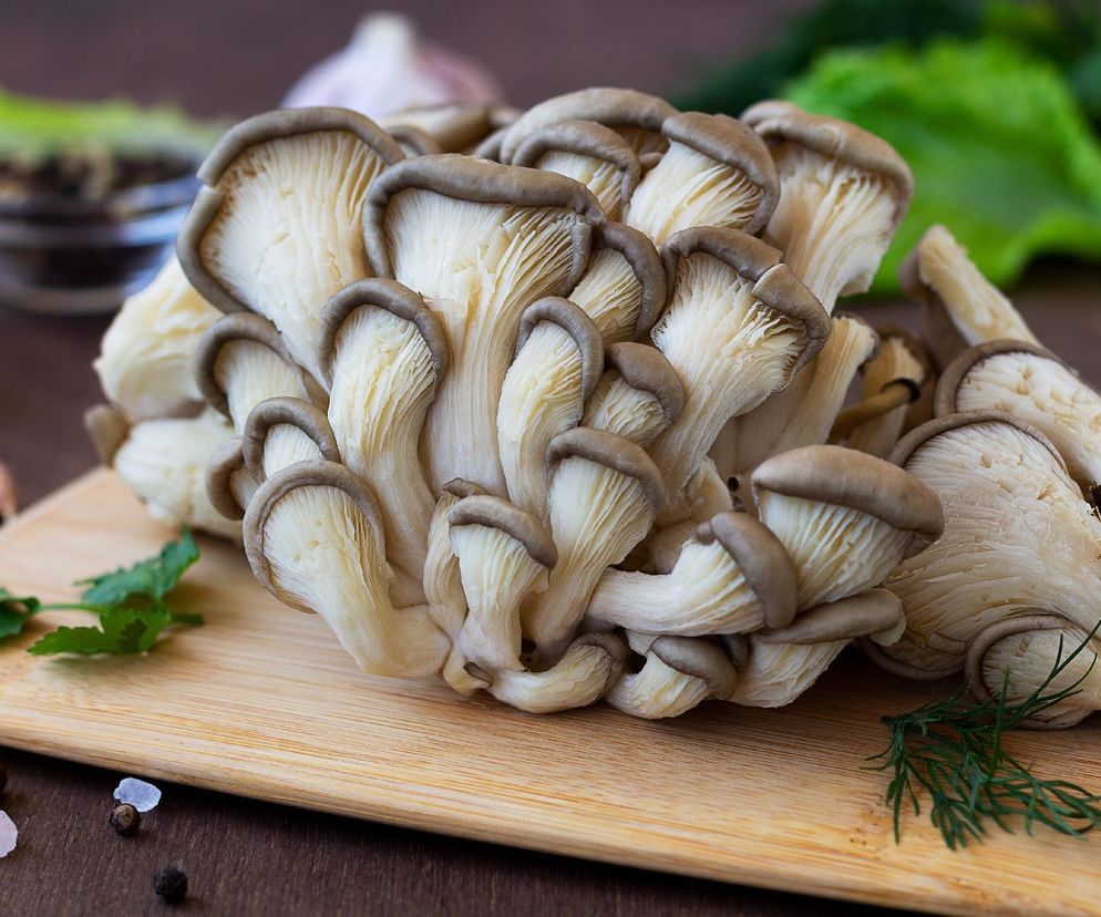 9 przepisów na grzyby boczniaki. Co zrobić z tych zimowych grzybów?