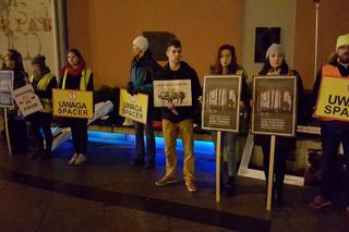 Ekolodzy boją się o dziki. Wyszli na ulice Bydgoszczy, by zaprotestować