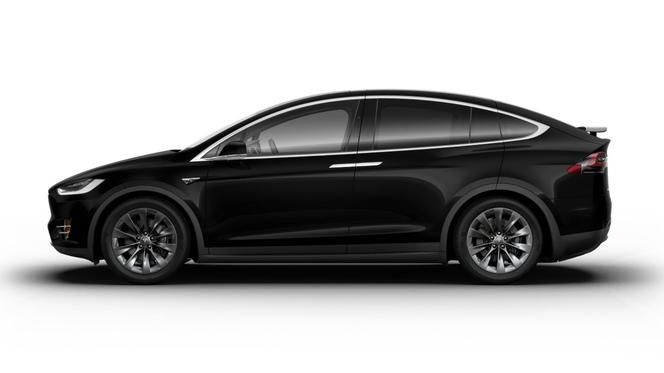 Qarson Tesla Model X