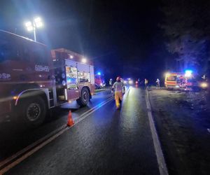 Tragiczny wypadek na Dolnym Śląsku. Auto ścięło drzewa