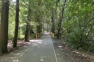 Jezioro Nowogardzkie