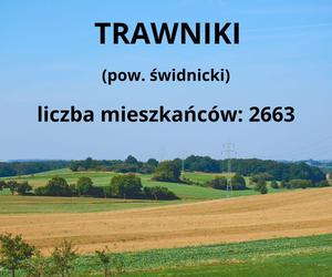 Ranking największych wsi w woj. lubelskim. W tych 10 miejscowościach mieszka najwięcej osób!