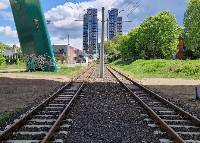 Torowisko tramwajowe na Babiej Wsi w Bydgoszczy zarośnięte chwastami. Tramwaje zniknęły stąd lata temu