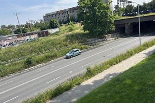 Ostrów zarósł? Wielkie koszenie na terenie miasta