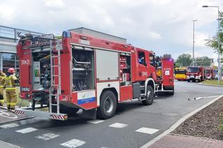 Pożar w metrze na Młocinach! Pilna ewakuacja pasażerów, w akcji strażacy